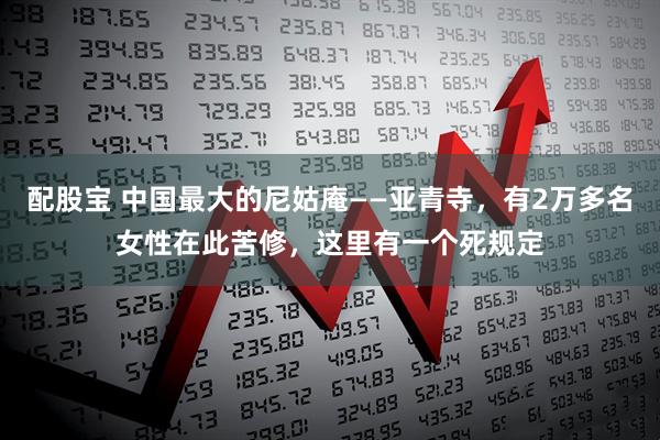 配股宝 中国最大的尼姑庵——亚青寺，有2万多名女性在此苦修，这里有一个死规定