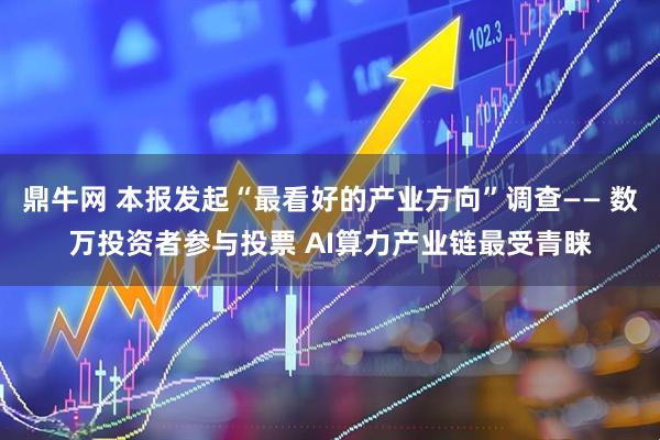 鼎牛网 本报发起“最看好的产业方向”调查—— 数万投资者参与投票 AI算力产业链最受青睐
