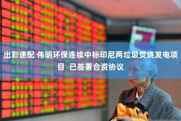出彩速配 伟明环保连续中标印尼两垃圾焚烧发电项目 已签署合资协议