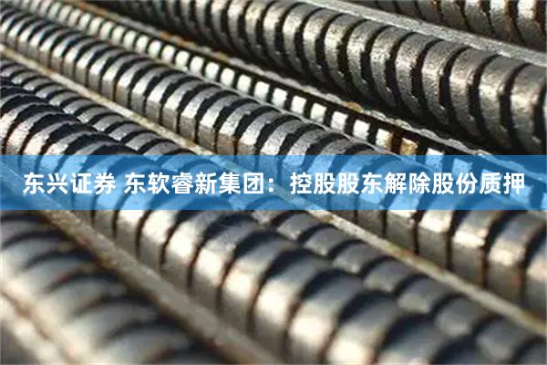 东兴证券 东软睿新集团：控股股东解除股份质押