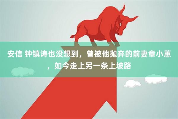 安信 钟镇涛也没想到，曾被他抛弃的前妻章小蕙，如今走上另一条上坡路