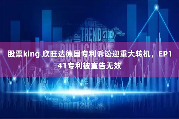 股票king 欣旺达德国专利诉讼迎重大转机，EP141专利被宣告无效