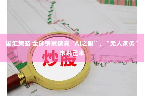 国汇策略 全球销冠擦亮“AI之眼”,“无人家务”未来已来