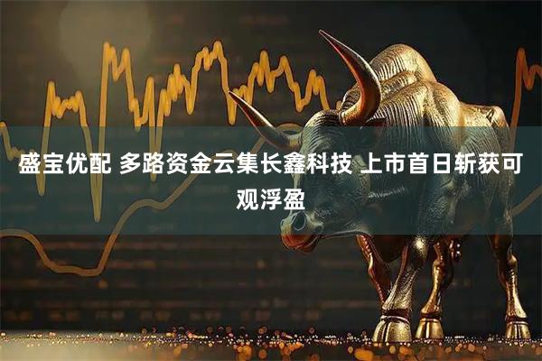 盛宝优配 多路资金云集长鑫科技 上市首日斩获可观浮盈